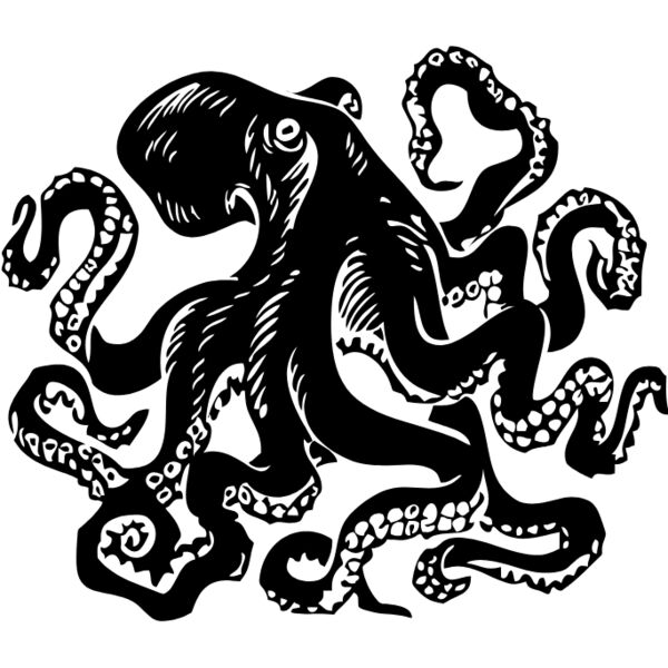 Octopus Thumbnail